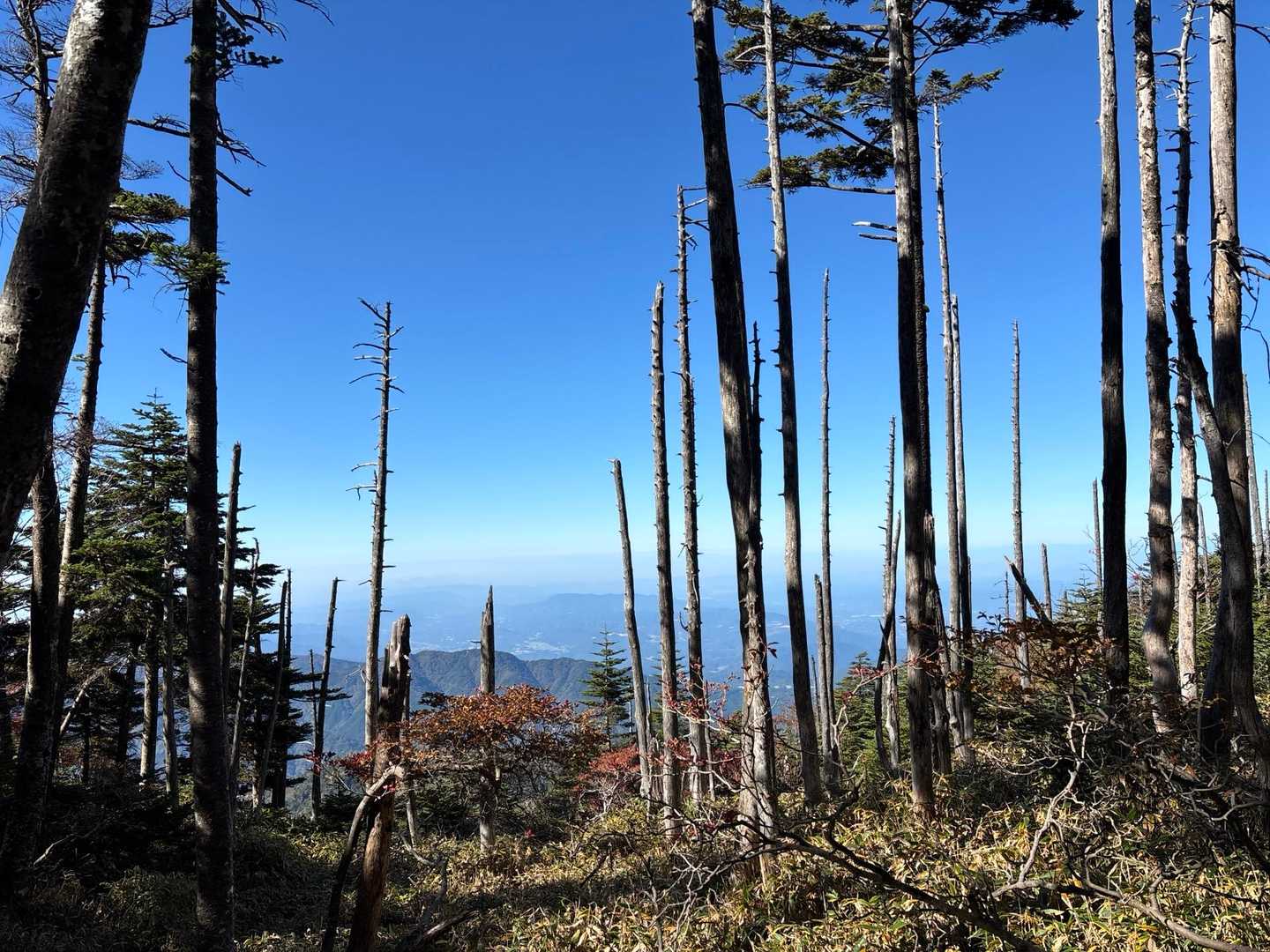 恵那山 往復コースの写真