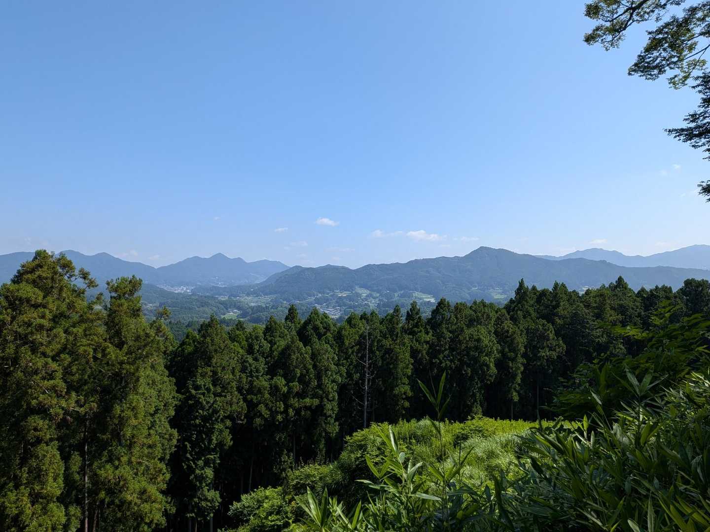 山頂からの眺め✨️