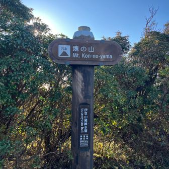 魂じゃないのね笑