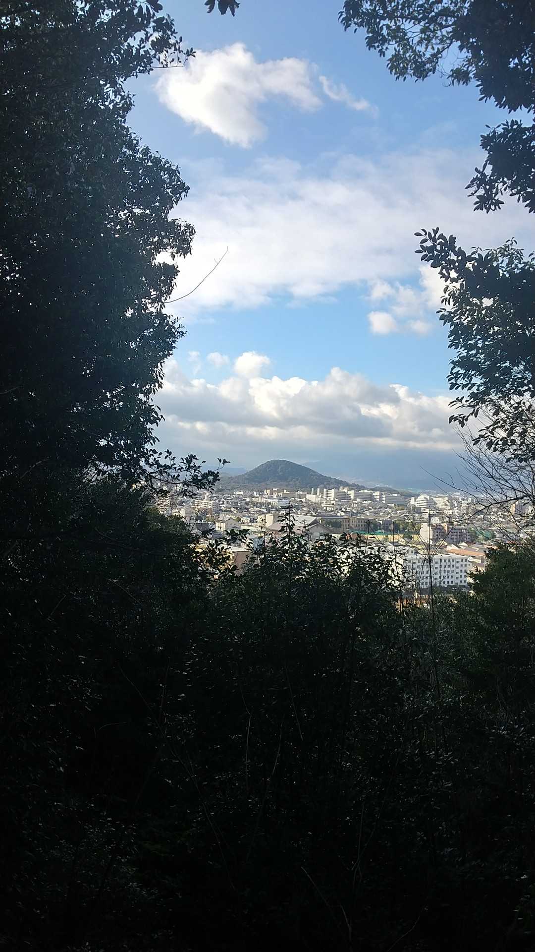 あれに見えるは、畝傍山🧐