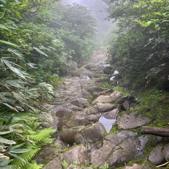 ここも滑る滑る
冬って、どうなるんだろ？