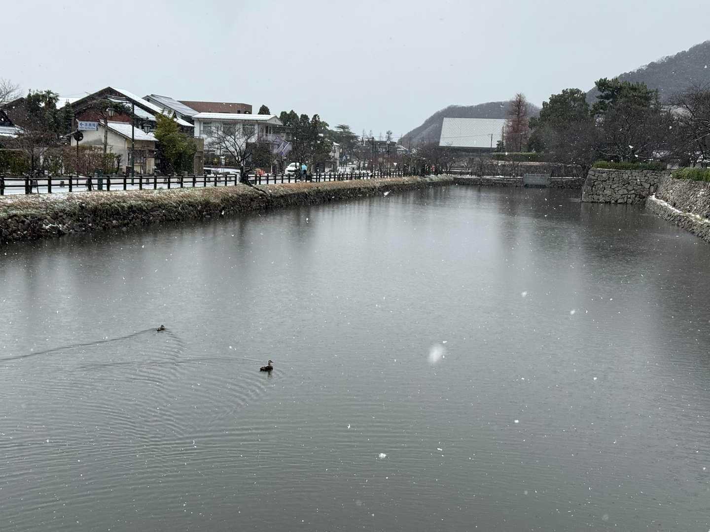 雪、やまないな〜
