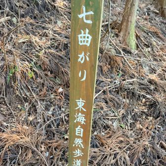 登り始めは13曲がりって
ユルユルの登坂が膝に優しいの🎵