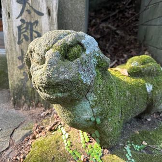これはこれは…
強面ながらも可愛らしい✨