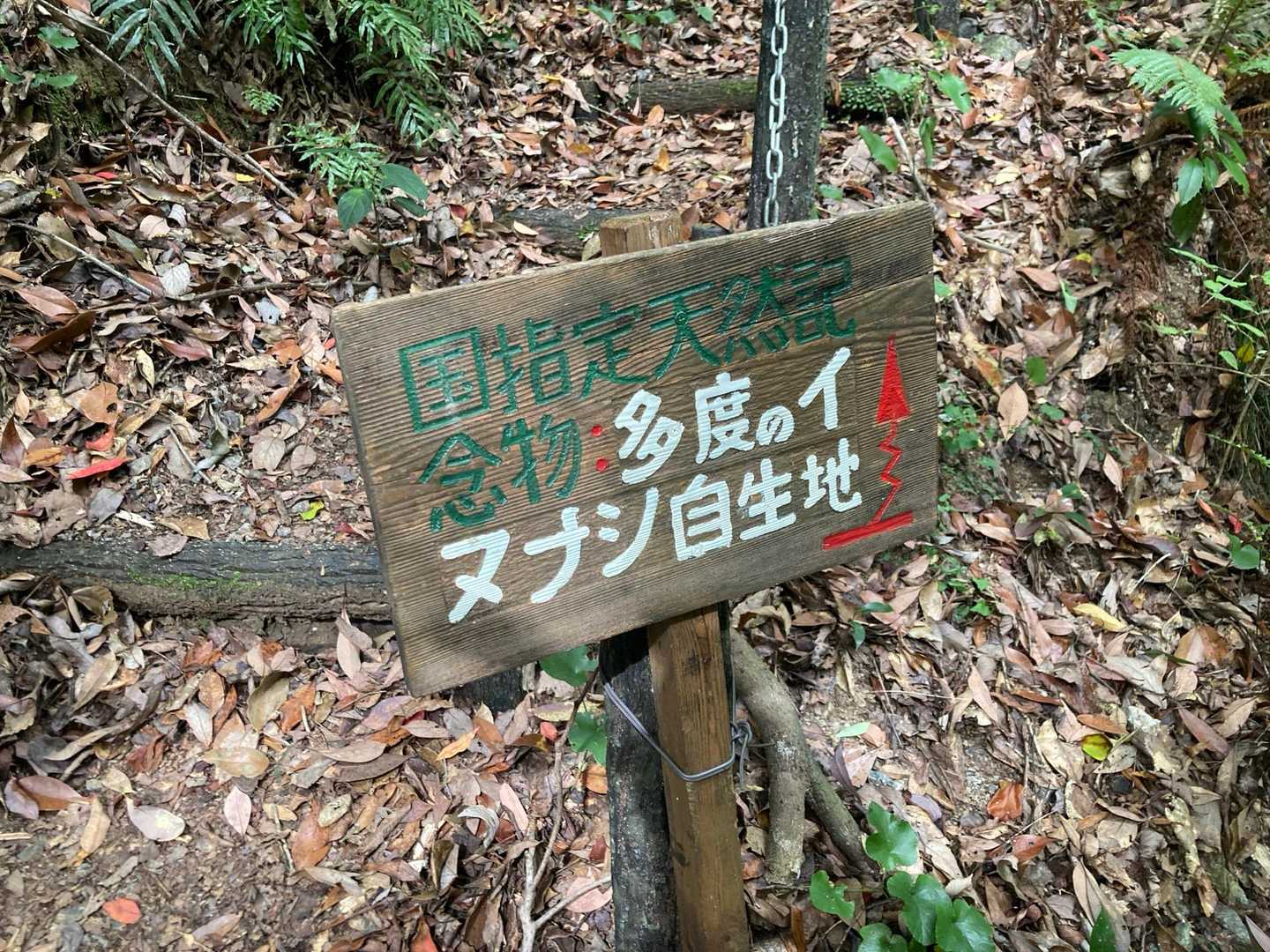 イヌナシ自生地の看板。
奥へ進むと…