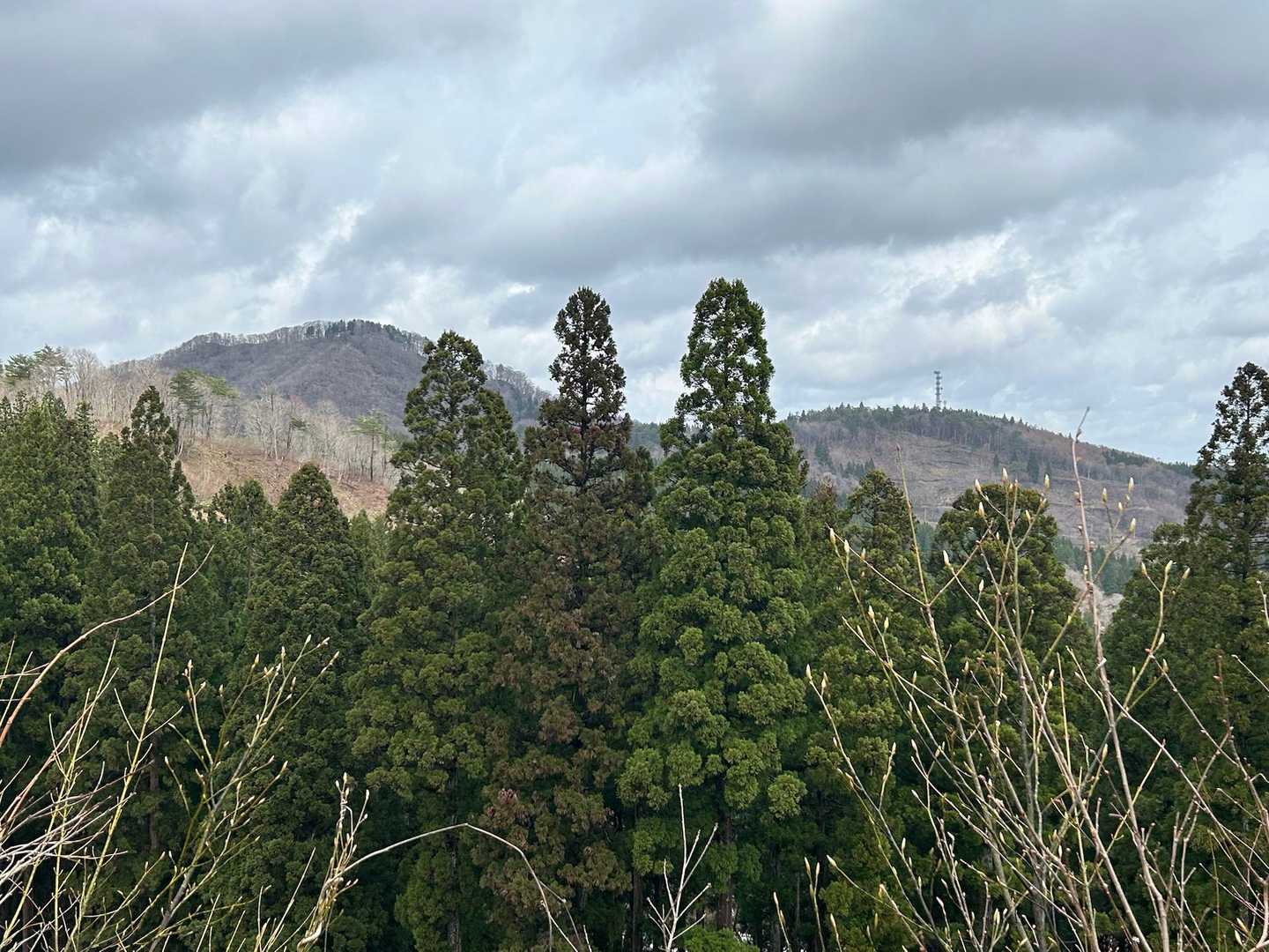 山頂が見える