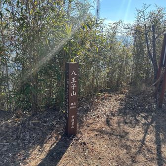 八王子山⛰️