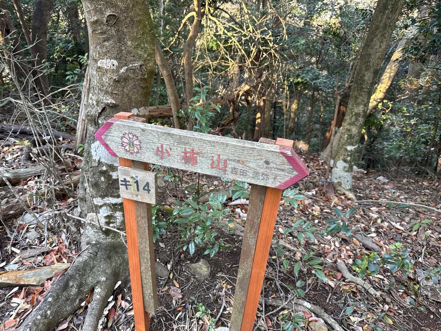 額堂山-森ヶ嶺-ふっこし峠-高野御前山-子安堂峠 周回コースの写真