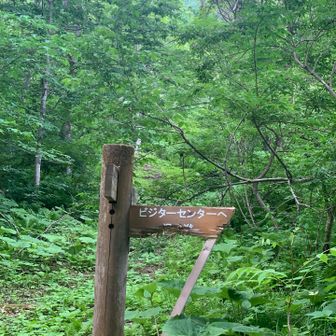 これ、熊谷がやったんでしょうか？🤔