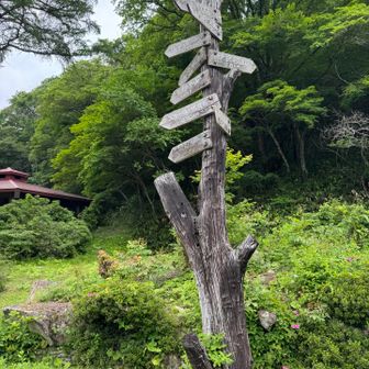 山へ🥾✨