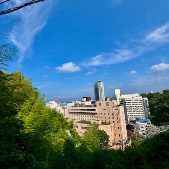 眼下には京急の横須賀中央駅が見えます

お散歩ももうすぐ終わりです