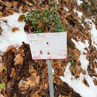 分かりにくいですが、火の用心の看板に秋葉山の文字が書いてあります。