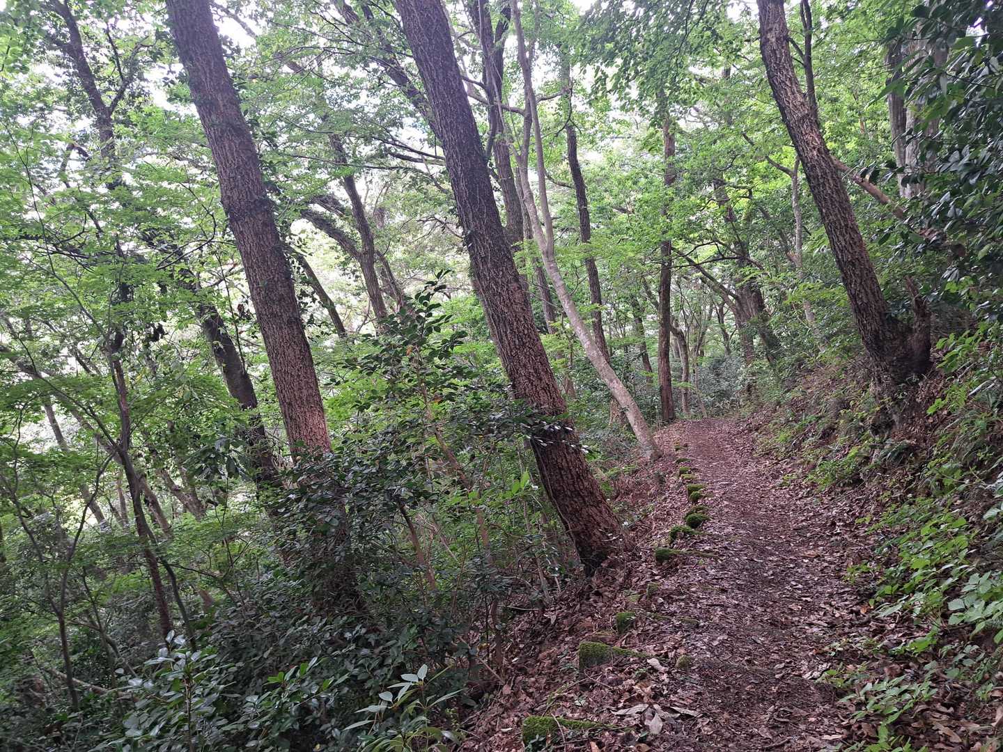 振り返ってみると(・_・?)

土砂で埋もれかけてて段差がわからない😲
