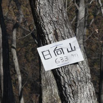 日向山の山頂標ぺらぺら