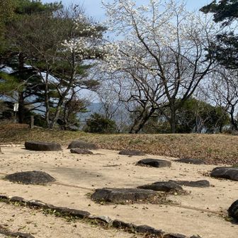 増長天。
奥に白い花が。