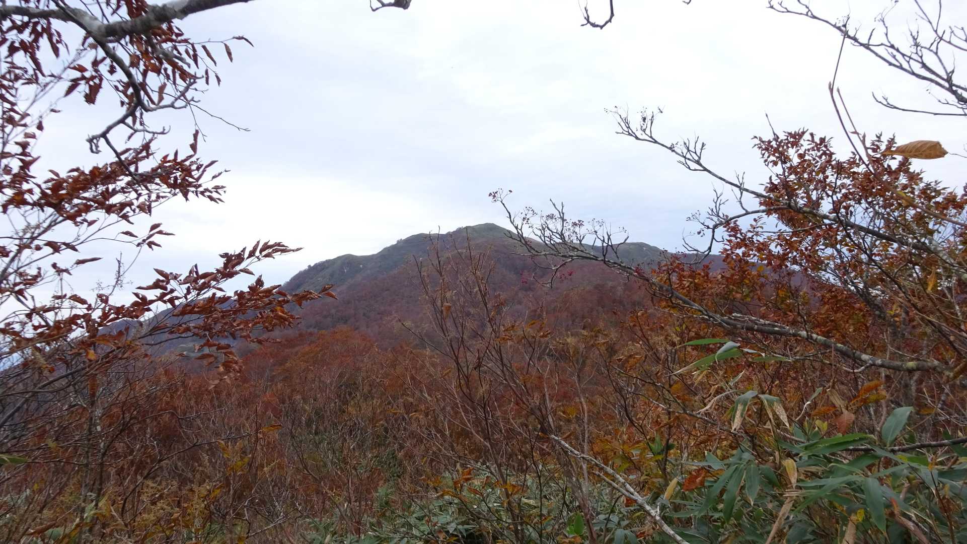赤く染まる白木峰