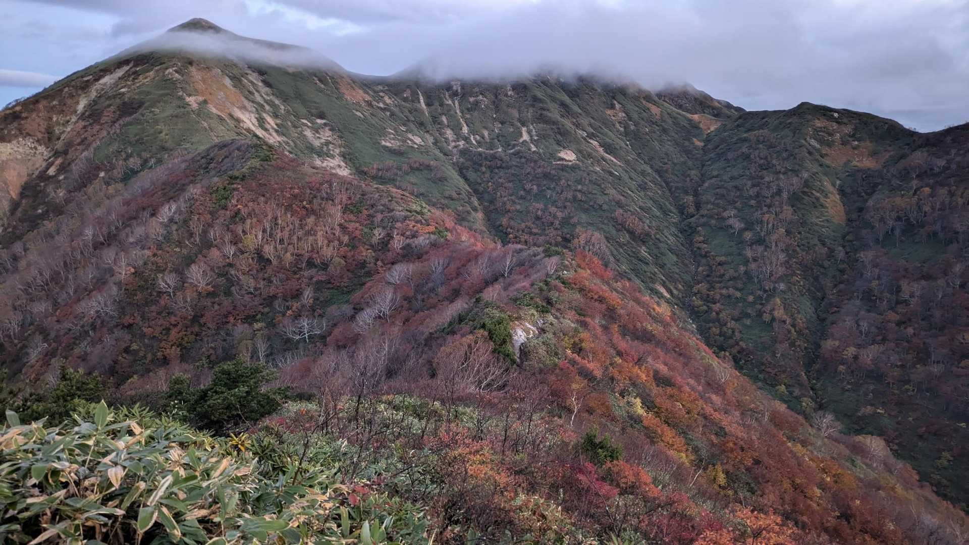 紅葉も良き🍁
