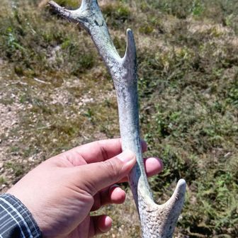 いつか知床半島攻略できたらいいなあ