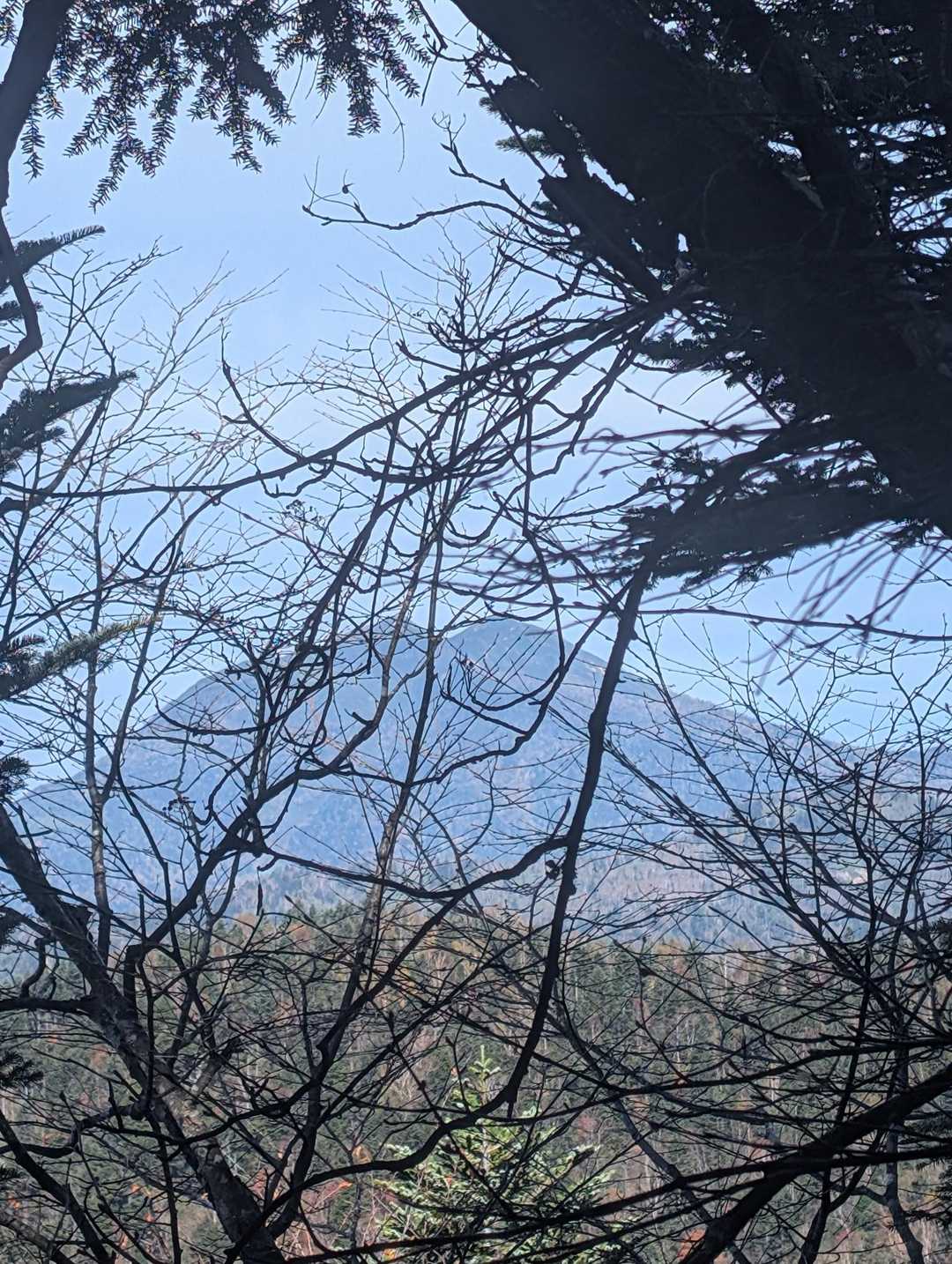 燧ヶ岳も見えてきた
燧ヶ岳も行きたいなー
誰か一緒に行きませんか🥰