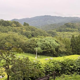 十万劫山

ここから縦走して十万劫山まで歩けます