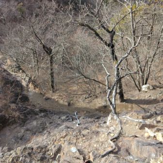 もちろん、足の置き場があれば、使うべきだが、過度に期待せず。