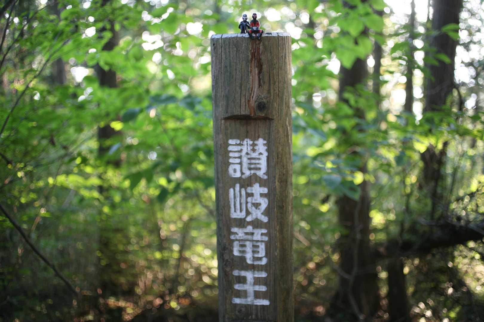 １時間ちょいで讃岐竜王到着