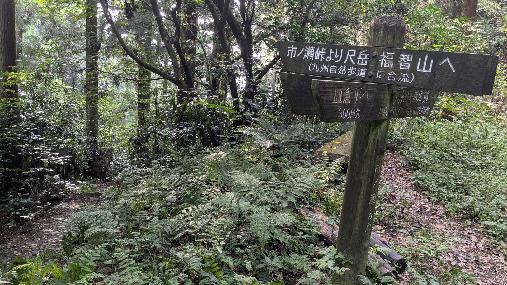 爽健コースを下る🚶