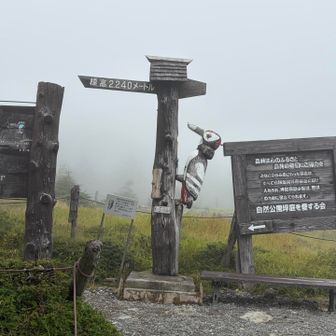 アレー！？紐がない？