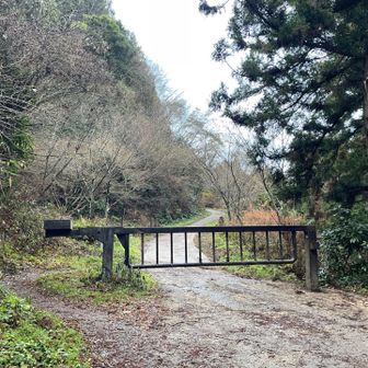 雨上がりの朝活スタート🏔️