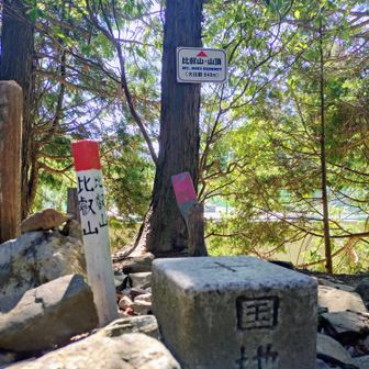 山頂到着。
5年ぶりくらいかな？
眺望は無し。