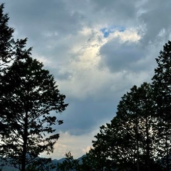 少し視界が開ける