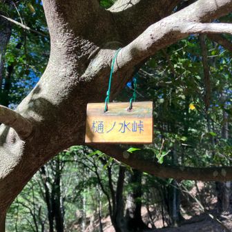 桶ノ水峠
