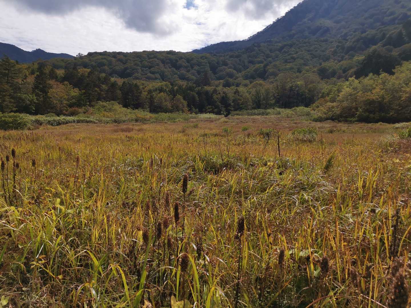 蓮華温泉登山口-朝日岳-照葉ノ池-黒岩山-サワガニ山-犬ヶ 縦走コースの写真