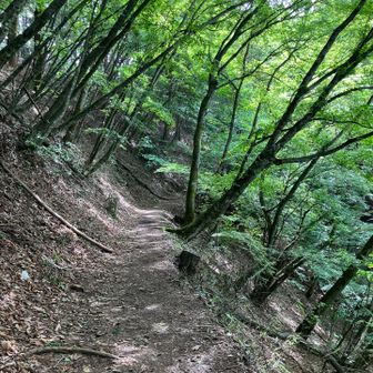 帰りは同じ道だけど、午後になって日が傾いてきました。