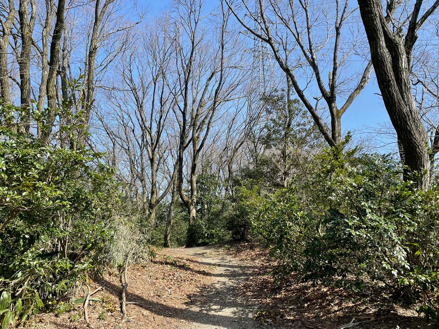 呉羽芝生公園-城山 往復コースの写真