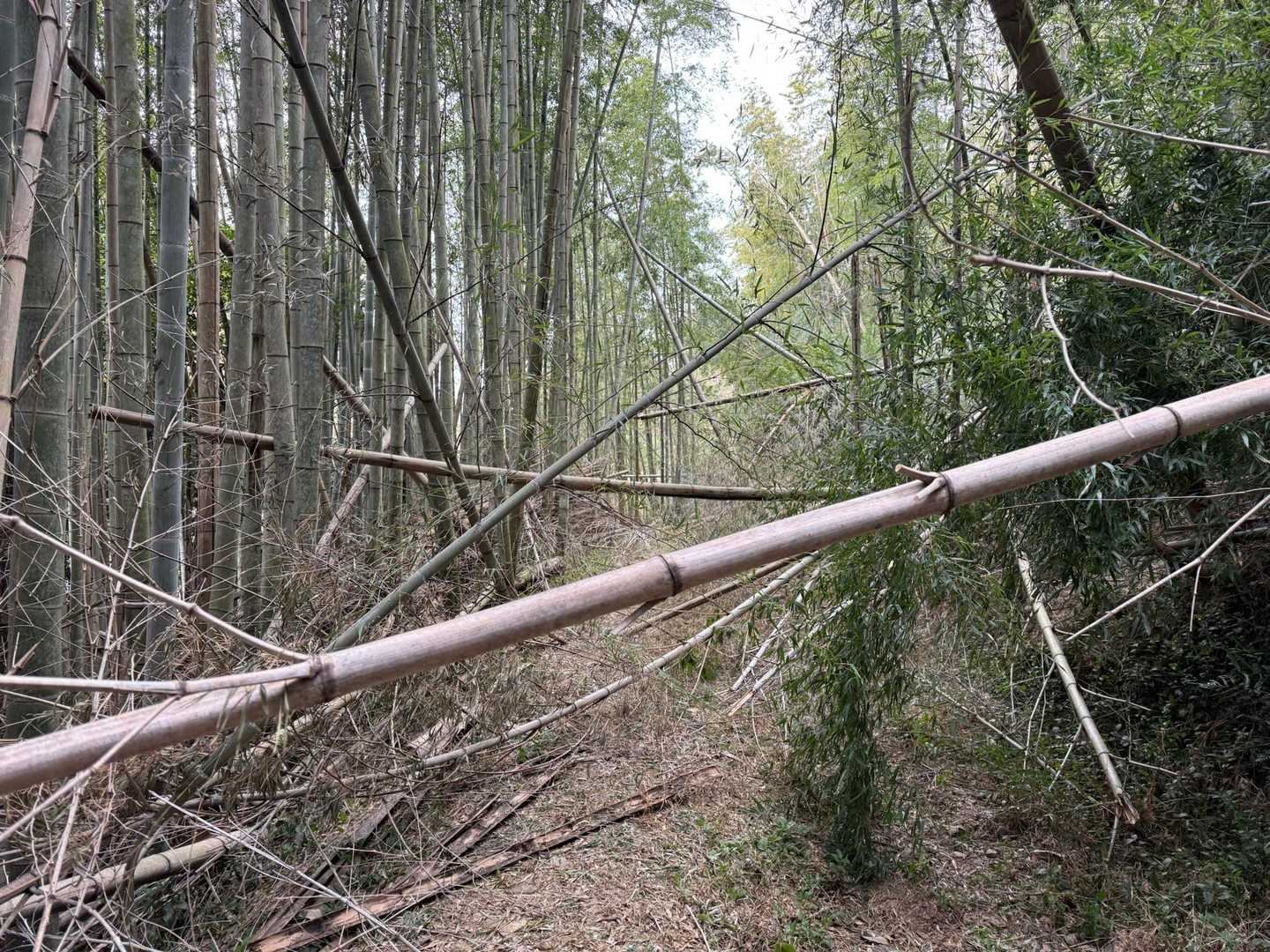 でも最後まで気は抜けません😅