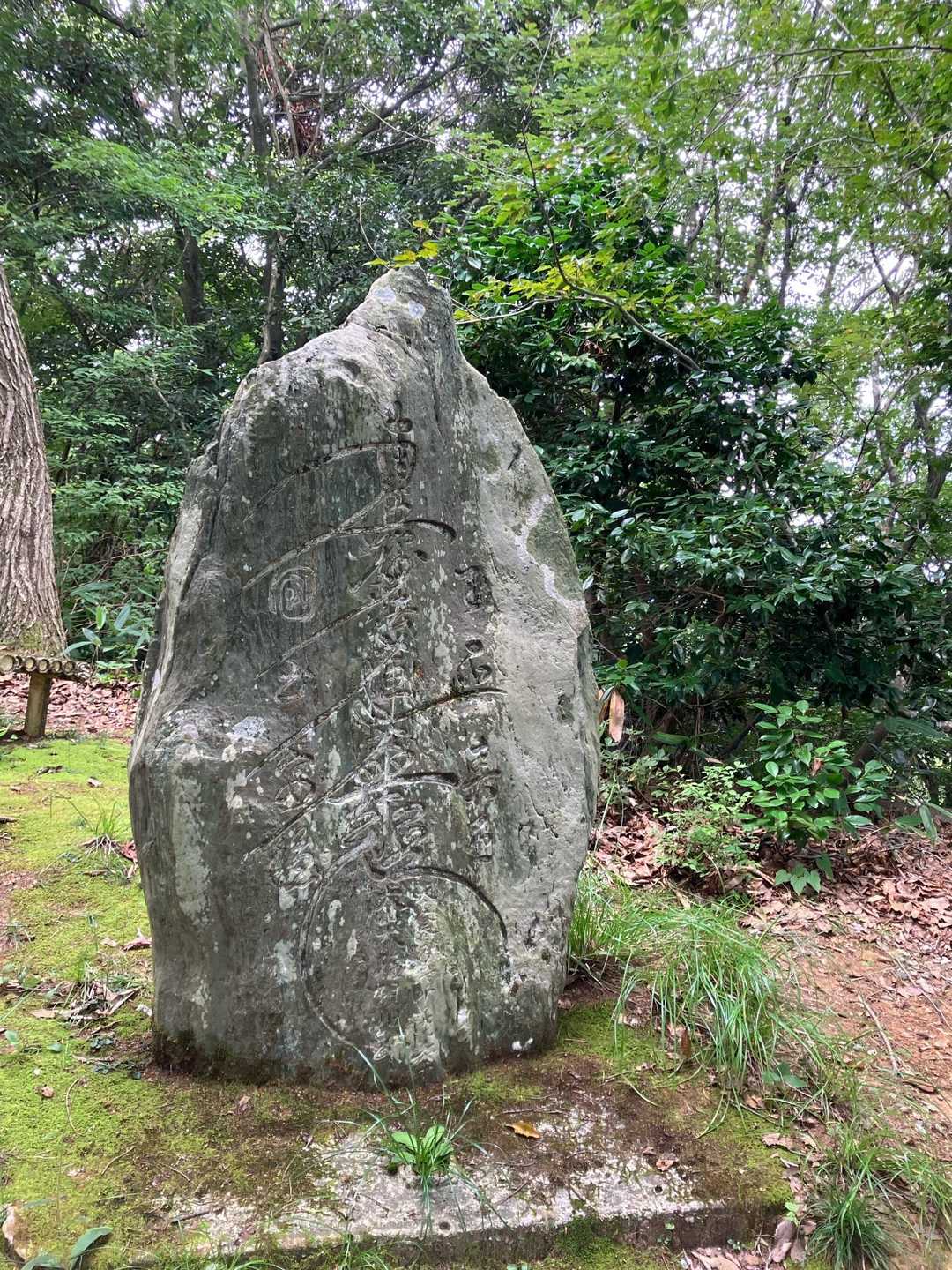 城光寺の滝登山口-大師ヶ岳登山口-大師ヶ岳登り口-二上山遊 周回コースの写真