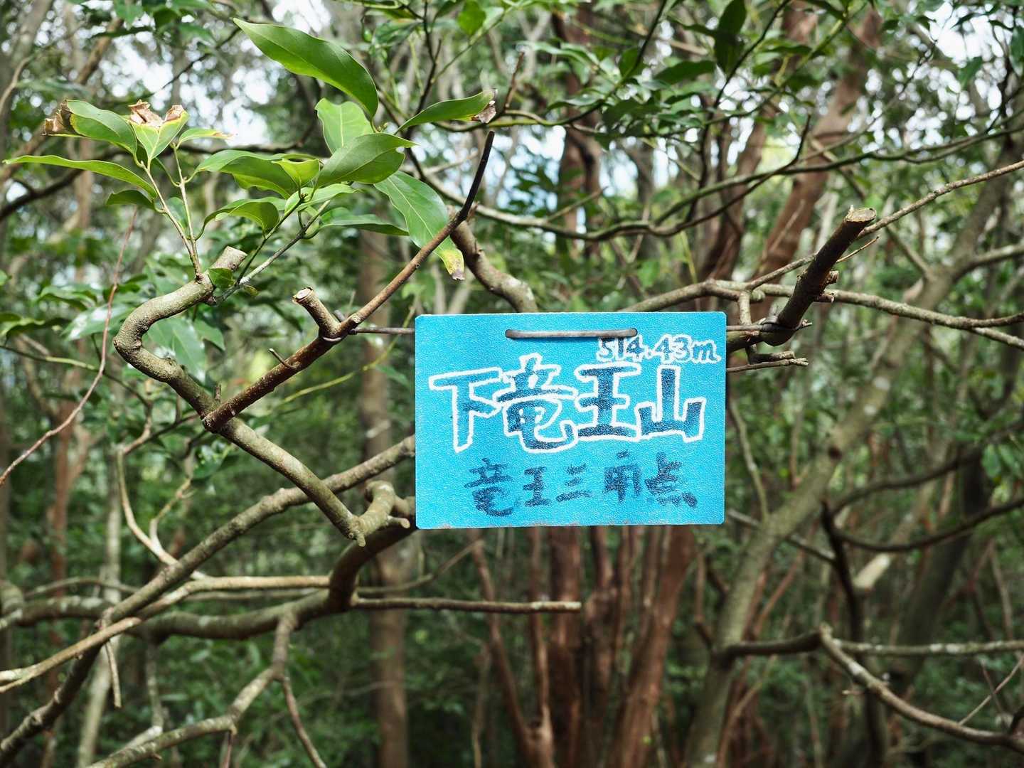 下竜王山