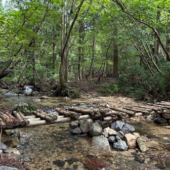沢沿いでのせせらぎランチは身も心も十分に浄化してくれたようで、明後日からの新たな海外出張🇫🇷にも意欲が持てました👍
