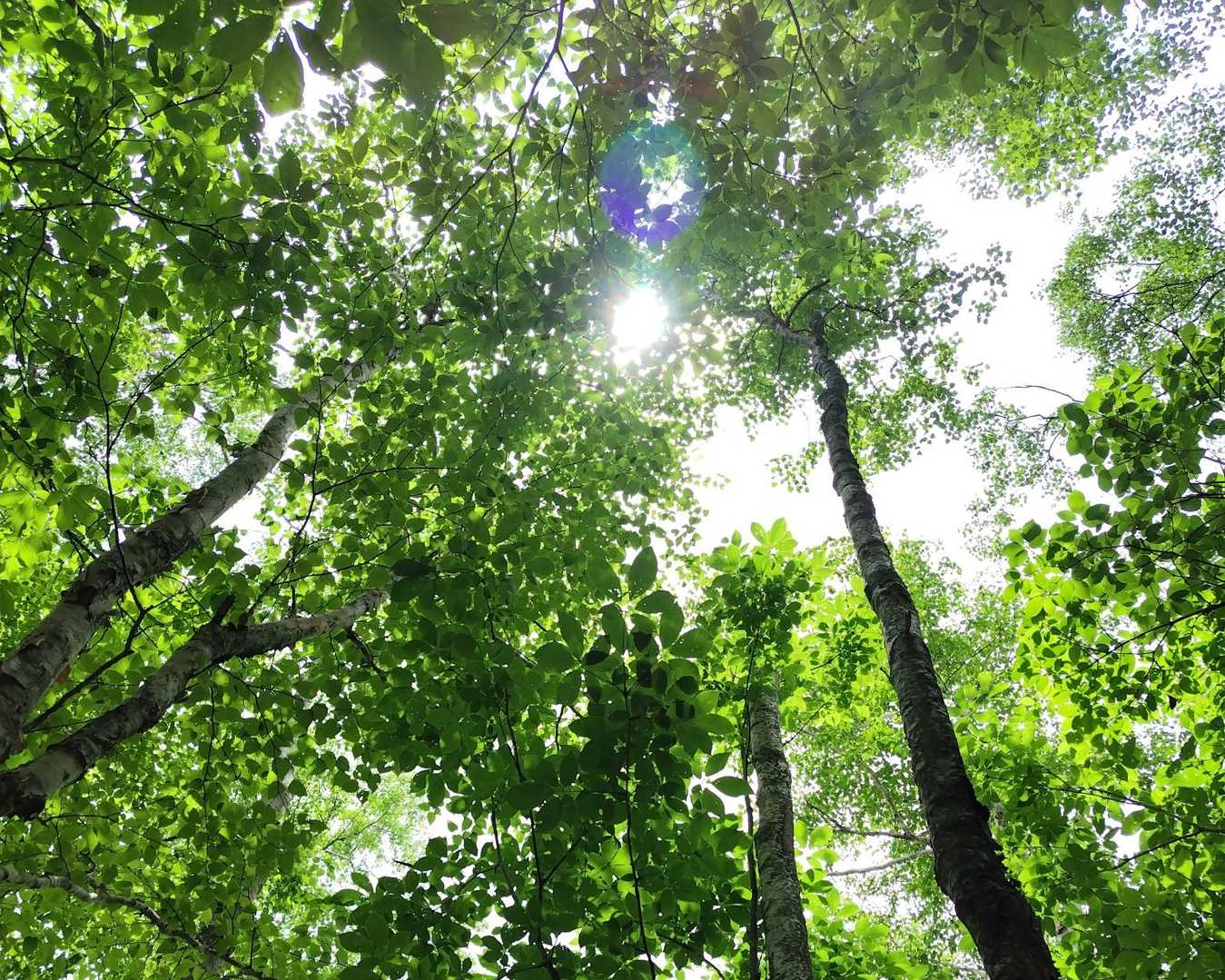 少し晴れてきたような🌿✨