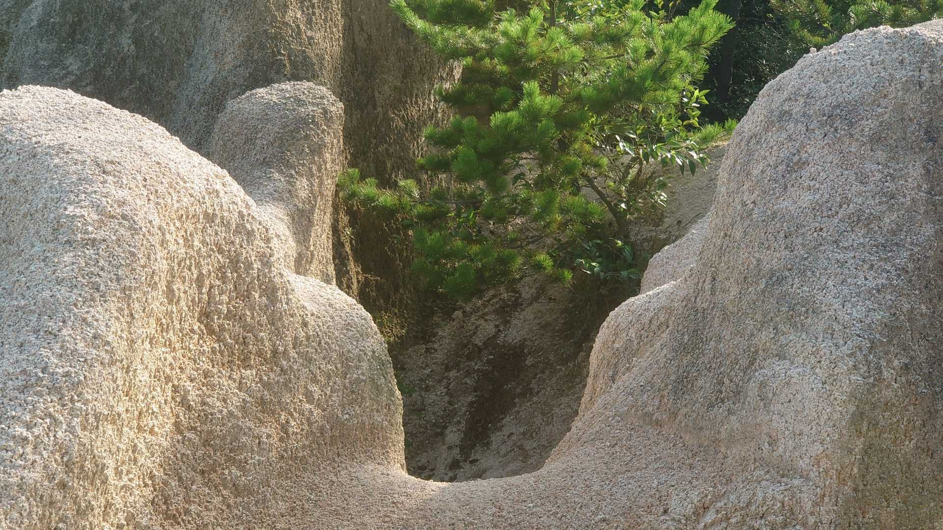 全部スヌーピーにみえてきた😆