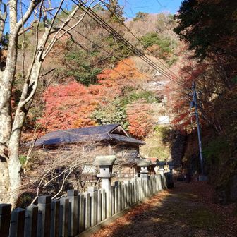 モミジのある紅葉はやはり絵になるなぁ☺️
もう数本有っても良いかなと思うが、十分にキレイやなぁ🍁