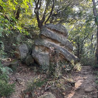 降りて来て。
登山道の真ん中にある石の後ろから登る。
