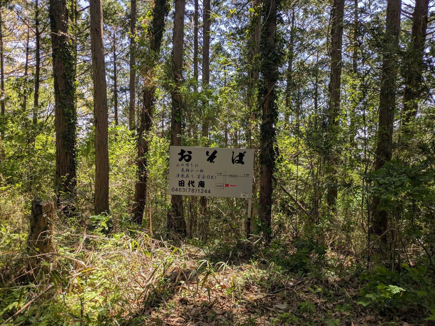 この看板が出てくると下山めしを何にしようかな〜と考え始めます。
