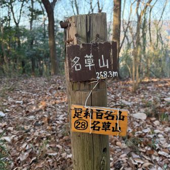名草山到着

眺望は囲まれ系
