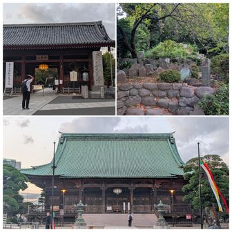 20座目⛰️
音羽富士（文京区　護国寺内）