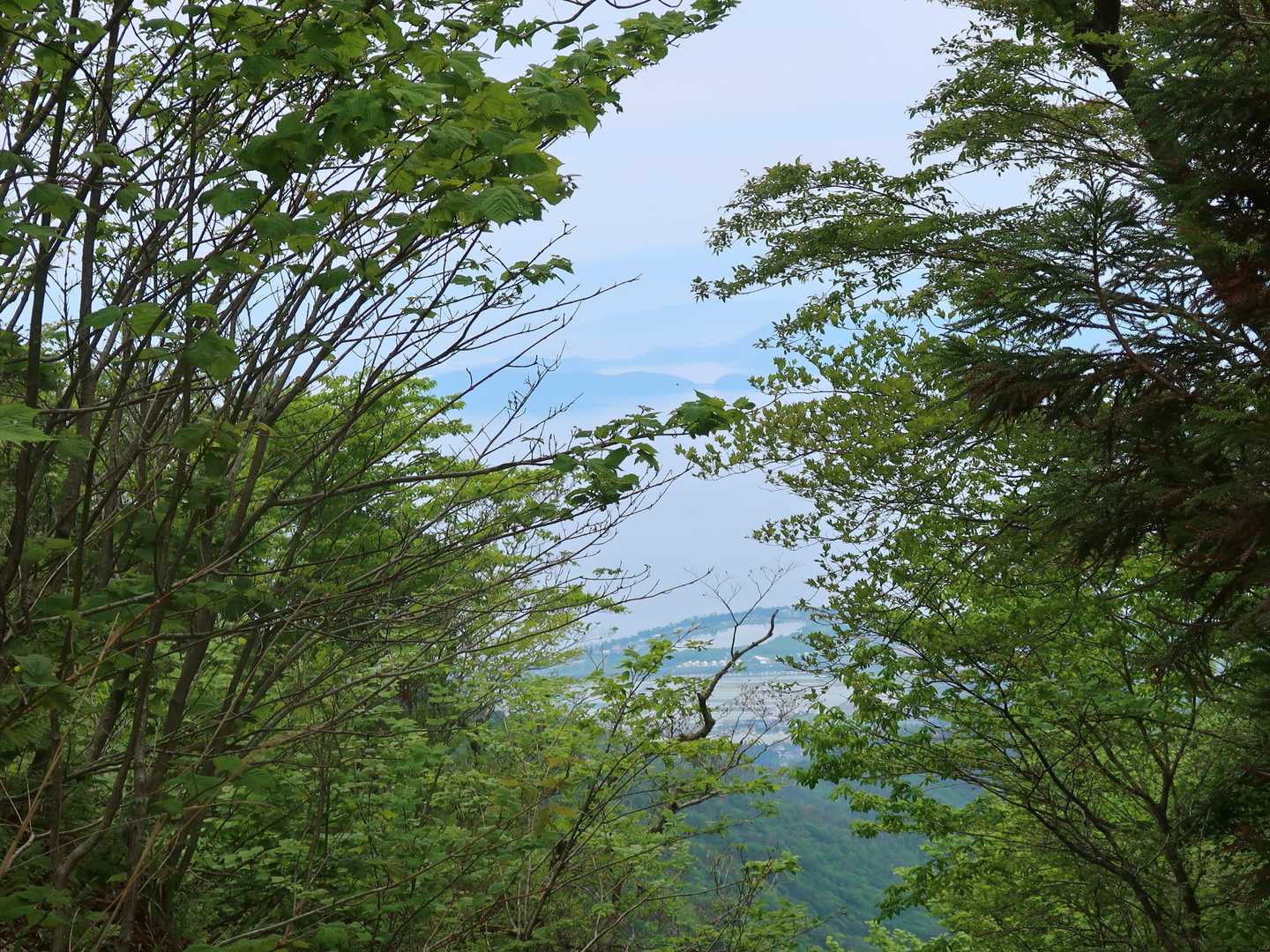 金糞峠からの琵琶湖!! 木が大きくなったのか？あまり見えない