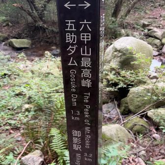 さぁ、どんなけかかるかな。