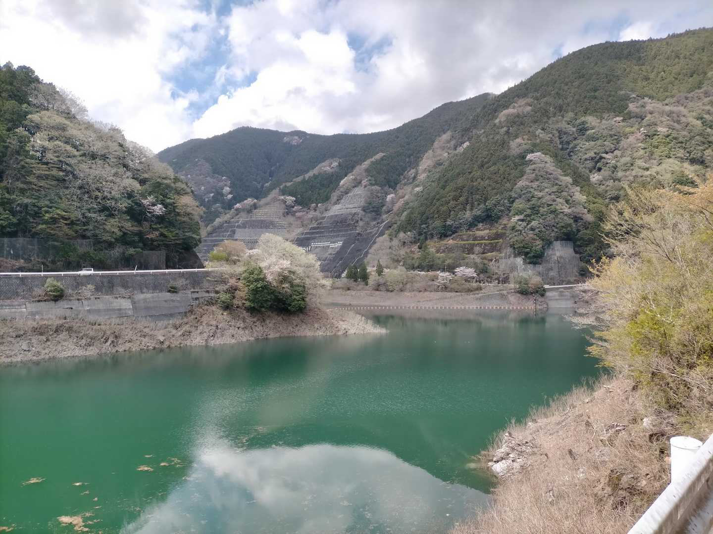 有馬ダム
有馬ブルーに花筏🌸