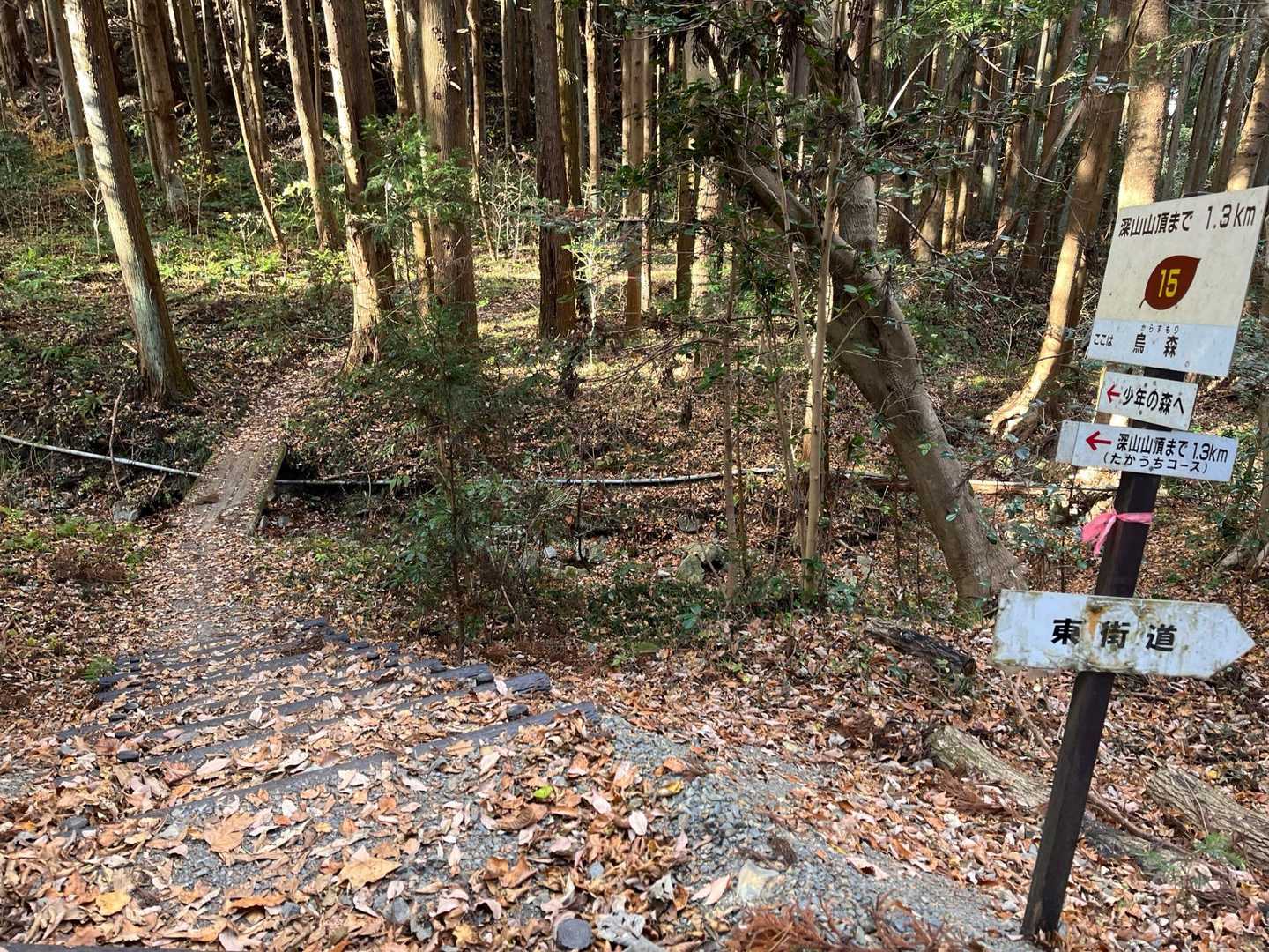 鳥越峠-お別れ峠-鷹討山 縦走コースの写真